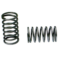Inlet Spring